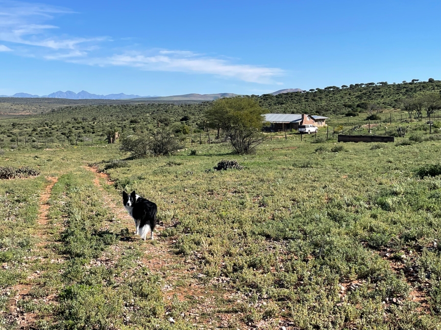 0 Bedroom Property for Sale in Steytlerville Eastern Cape